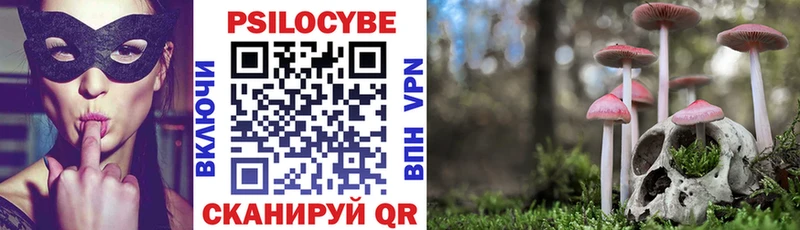 Псилоцибиновые грибы мицелий  Купить  Муравленко 